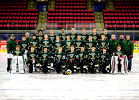 Vestal High School Hockey 2015 - 2016