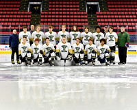 Vestal Hockey 2023-2024